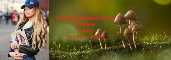 тгк Аркадак