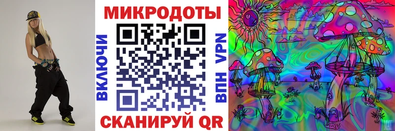 Псилоцибиновые грибы Cubensis  Кемерово 
