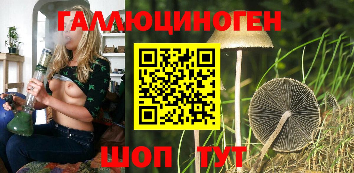 Псилоцибиновые грибы Cubensis  Вход с VPN  хочу   Кемерово 
